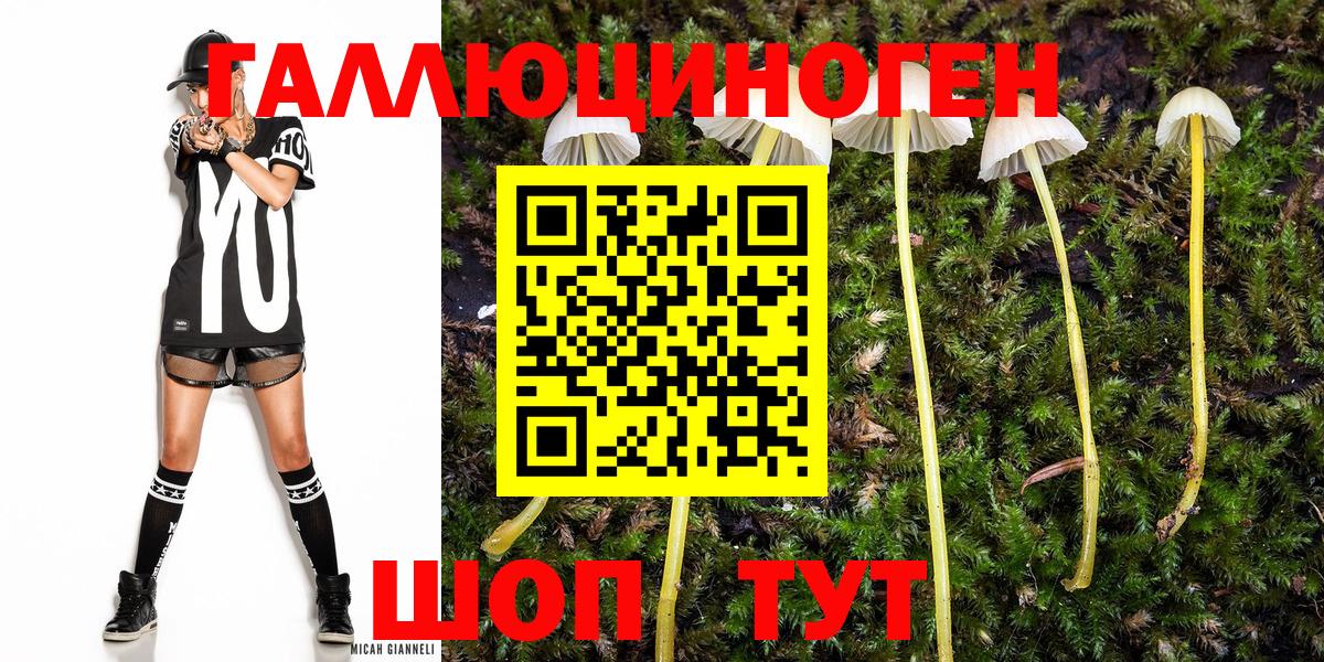Псилоцибиновые грибы Magic Shrooms  Галлюциногенные грибы MAGIC MUSHROOMS  Вход с VPN  Коломна 
