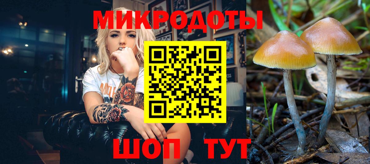 Псилоцибиновые грибы мухоморы Коломна